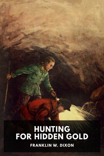 Читать книгу Hunting for Hidden Gold