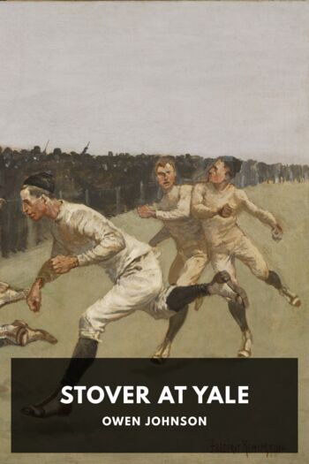 Читать книгу Stover at Yale