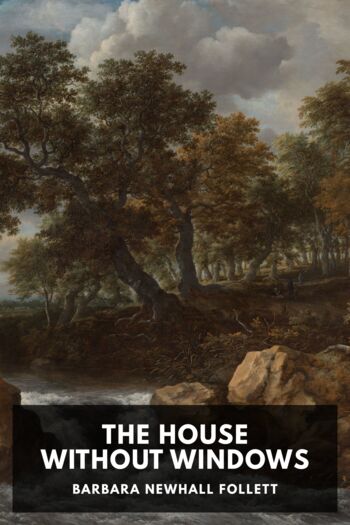 Читать книгу The House Without Windows