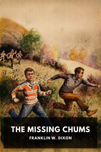 Читать книгу The Missing Chums