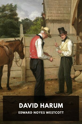 Читать книгу David Harum