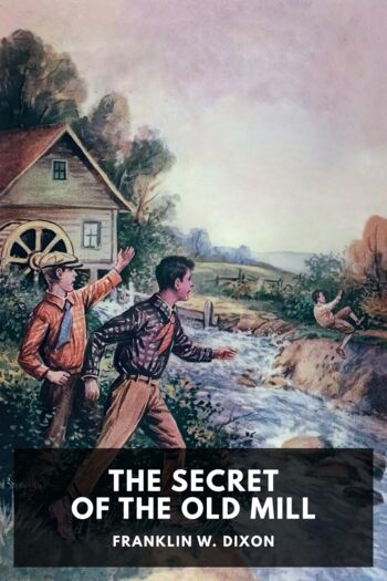 Читать книгу The Secret of the Old Mill
