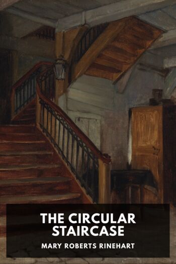 Читать книгу The Circular Staircase