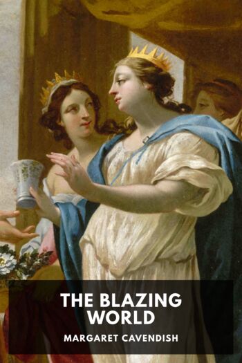 Читать книгу The Blazing World