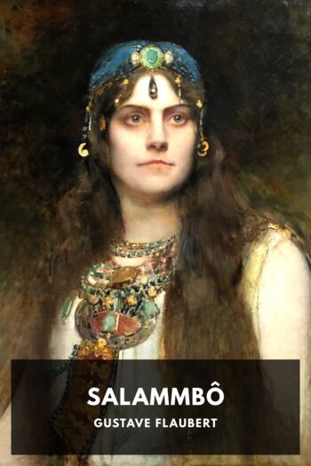 Читать книгу Salammbô