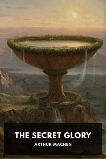 Читать книгу The Secret Glory