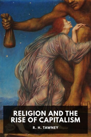 Читать книгу Religion and the Rise of Capitalism