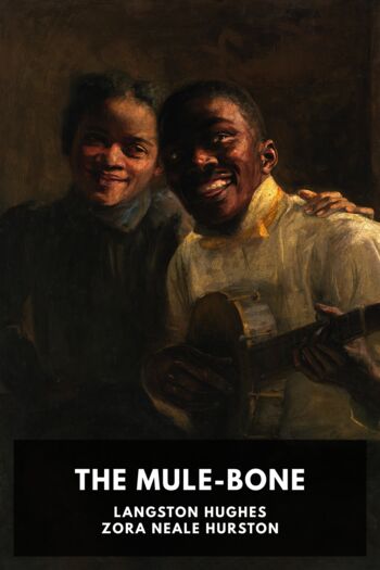 Читать книгу The Mule-Bone