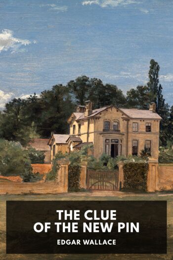 Читать книгу The Clue of the New Pin