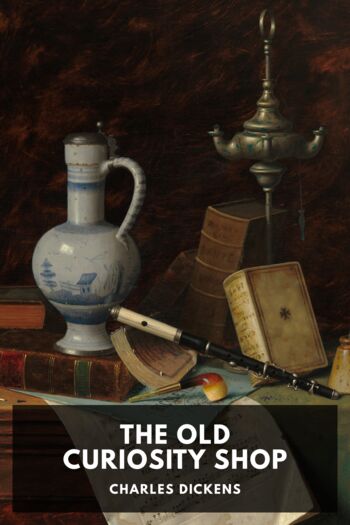 Читать книгу The Old Curiosity Shop