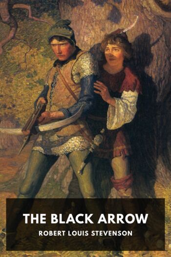 Читать книгу The Black Arrow