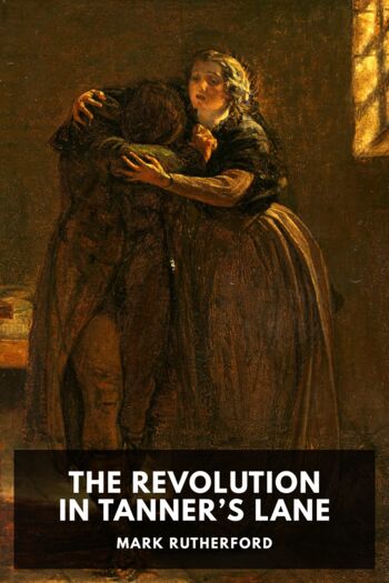 Читать книгу The Revolution in Tanner’s Lane