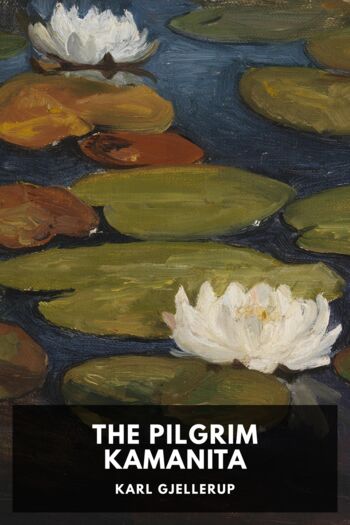 Читать книгу The Pilgrim Kamanita