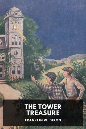 Читать книгу The Tower Treasure