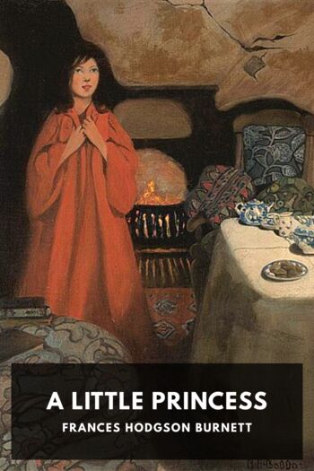 Читать книгу A Little Princess