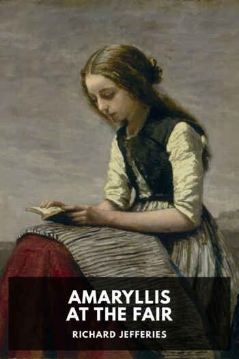 Читать книгу Amaryllis at the Fair