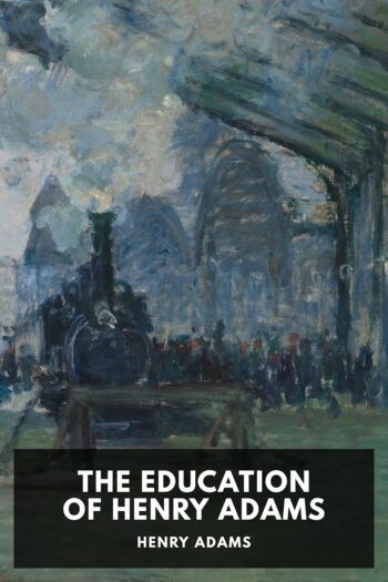 Читать книгу The Education of Henry Adams