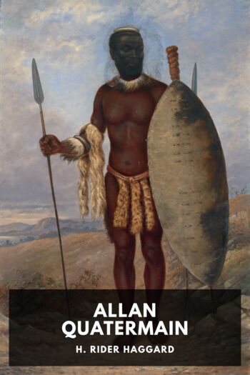 Читать книгу Allan Quatermain