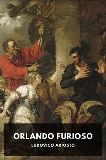 Читать книгу Orlando Furioso