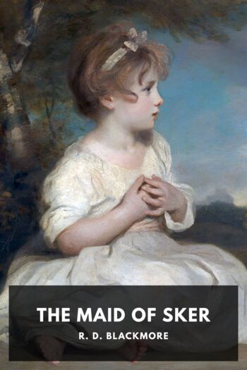 Читать книгу The Maid of Sker