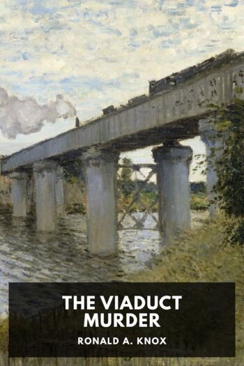 Читать книгу The Viaduct Murder