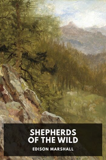 Читать книгу Shepherds of the Wild