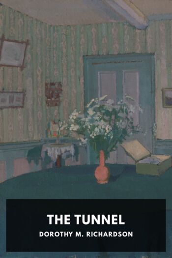 Читать книгу The Tunnel