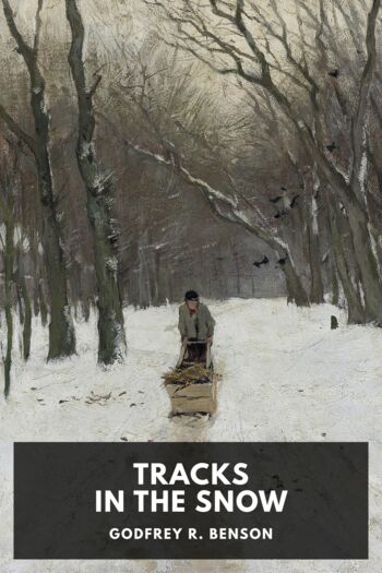 Читать книгу Tracks in the Snow