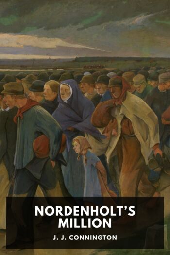 Читать книгу Nordenholt’s Million