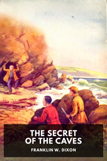 Читать книгу The Secret of the Caves