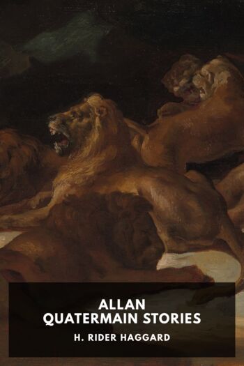 Читать книгу Allan Quatermain Stories