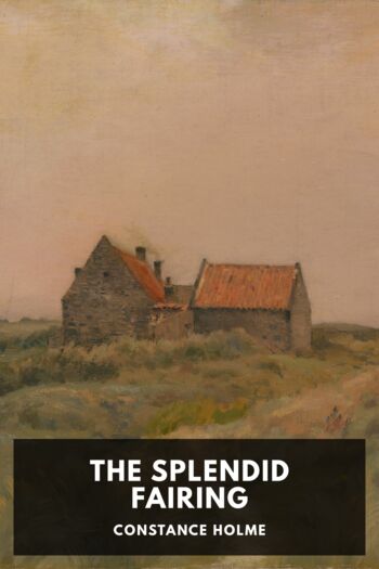 Читать книгу The Splendid Fairing