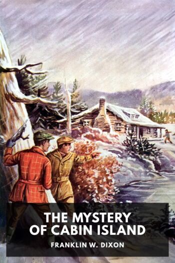 Читать книгу The Mystery of Cabin Island
