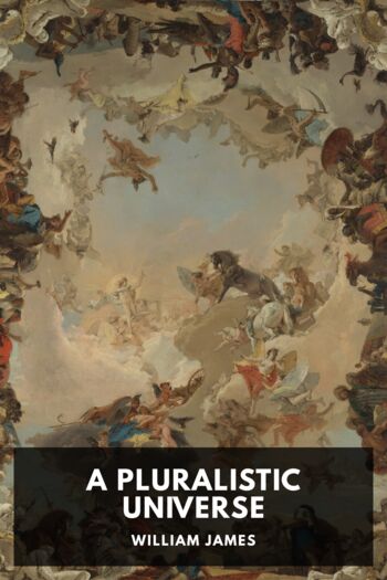 Читать книгу A Pluralistic Universe