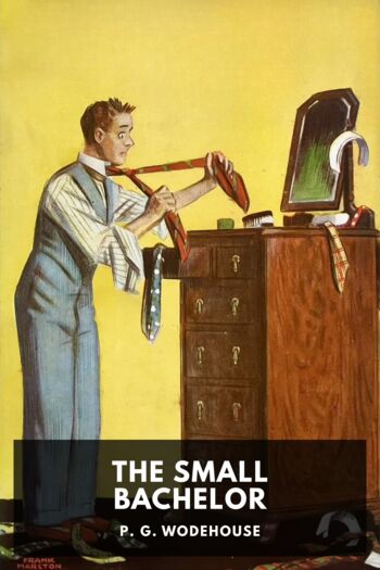 Читать книгу The Small Bachelor