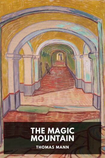 Читать книгу The Magic Mountain