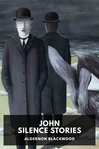 Читать книгу John Silence Stories