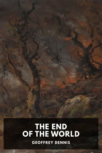 Читать книгу The End of the World