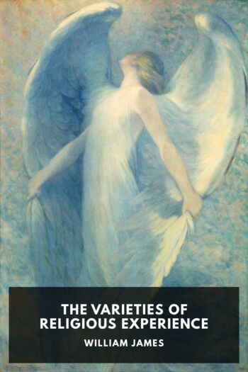 Читать книгу The Varieties of Religious Experience