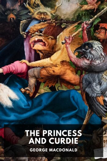 Читать книгу The Princess and Curdie