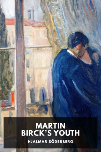 Читать книгу Martin Birck’s Youth