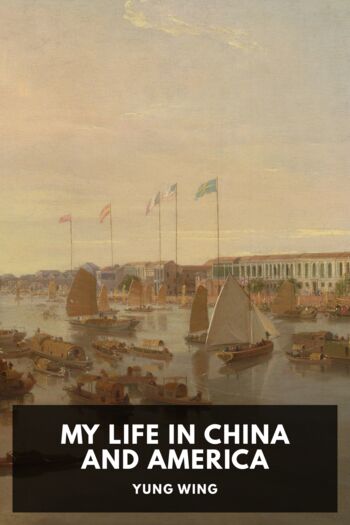Читать книгу My Life in China and America