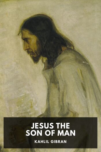 Читать книгу Jesus the Son of Man