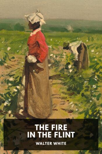 Читать книгу The Fire in the Flint