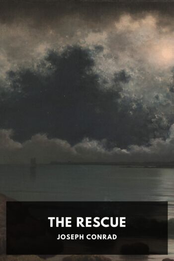 Читать книгу The Rescue