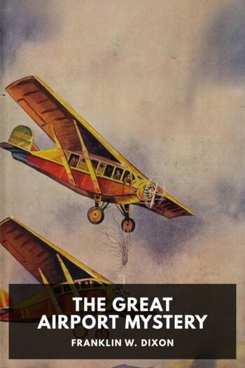 Читать книгу The Great Airport Mystery