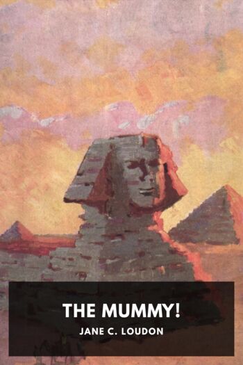 Читать книгу The Mummy!