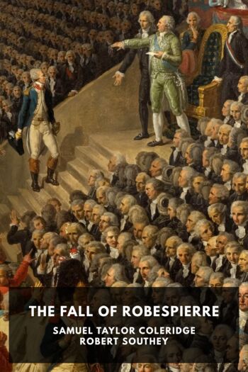 Читать книгу The Fall of Robespierre