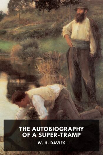 Читать книгу The Autobiography of a Super-Tramp