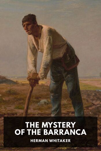 Читать книгу The Mystery of the Barranca
